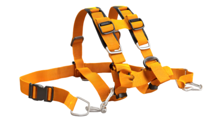 A close up shot of an orange safety harness with metal buckles and black plastic adjusters isolated