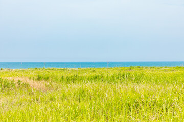 (茨城県ｰ風景)夏の大洗サンビーチ１
