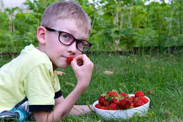 Portrait of an 8-9-year-old boy with strawberries. Boy eating strawberries in the garden