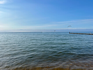 Baltic Sea with wooden breakwater, blue sky and flying seagulls. Mielno, Poland