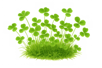 Vibrant green clover patch thrives amidst a bed of grass, presented on a transparent background for seamless integration