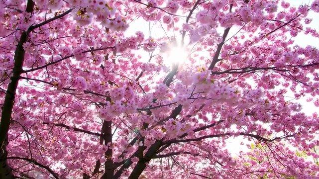 Pastel purple and white foliage landscape