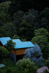 Wooden cabins surrounded by trees in dense forest setting
