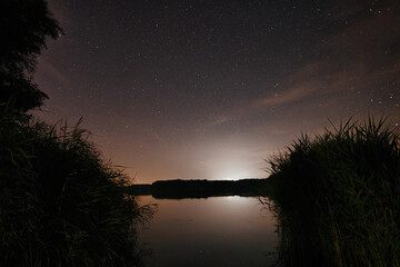Starry Night Sky Stars Trees View Shadow Heaven Nature Landscape Romantic Darkness Background...