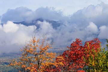 Fototapeta premium autumn in the mountains