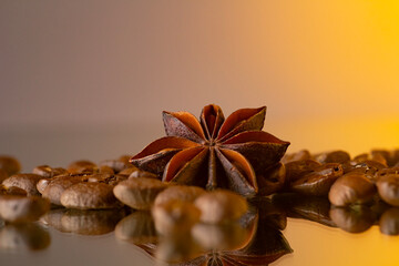 Close up shot of star anise and coffee beans on a reflective surface with a gradient background