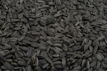 Natural Background with Dried Sunflower Seeds in Shell