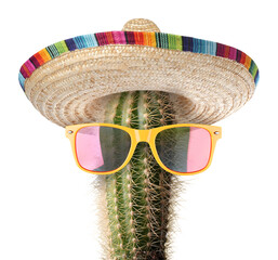 Cactus with sunglasses and sombrero hat against white background