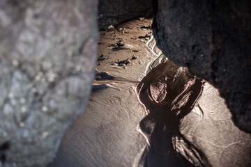 Ocean Water Trails in Sand Inside a Small Rocky Californian Beach Tunnel Detail