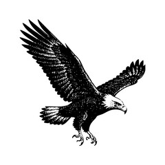 Fototapeta premium eagle flying in the sky sketch engraving black and white outline. Scratch board imitation.