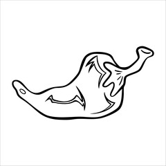 Chili line drawing. It is a vector illustration.