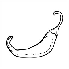 Chili line drawing. It is a vector illustration.
