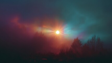 Fototapeta premium Sunrise or sunset through foggy forest