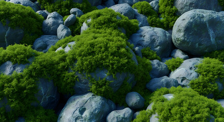 Moss covered rock landscape