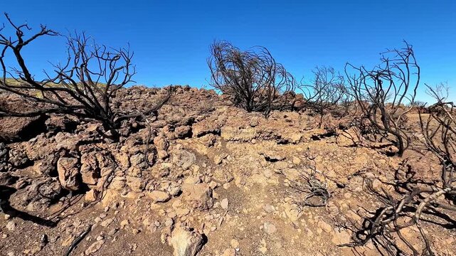 A desolate landscape characterized by burnt vegetation and rocky terrain, showcasing nature's resilience.