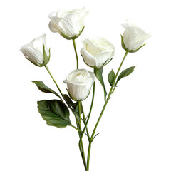 A bouquet of five elegant white roses with lush green leaves, a symbol of purity and grace. background removed