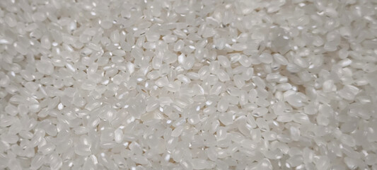 Close up of japanese rice. Japanese rice grains for background. Sushi Ingredients.