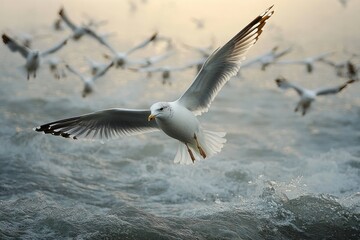 A group of seagulls flying low over choppy ocean waves with one seagull in sharp focus appearing calm and graceful amidst dynamic natural movement