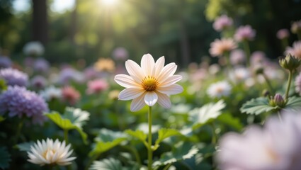 Delicate Blooming Flower in a Lush Garden Bathed in Soft Sunlight During Spring Season