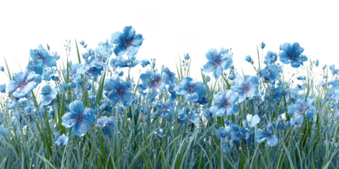 Field of blue flowers with water droplets on it background image