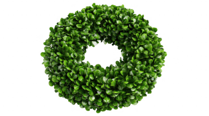 Green leafy wreath against black background view background image