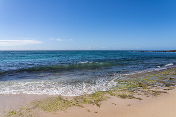 Laniakea Beach - Popularly Known as Turtle Beach, Haleiwa, Oahu, Hawaii. North Shore of Oahu Island. Pacific ocean.