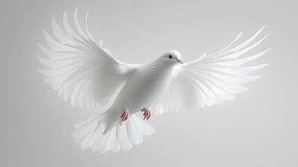 Obraz premium White Pigeon in Flight High-Definition Stock Image for Commercial Illustration, Poster, Web Design – Peace Symbol, Pure White Bird Photography