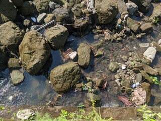 Large, moss-covered stones scattered in a shallow water stream. The water reflects sunlight, and vegetation grows along the edges. Debris, such as plastic bottles and leaves, is visible among the rock