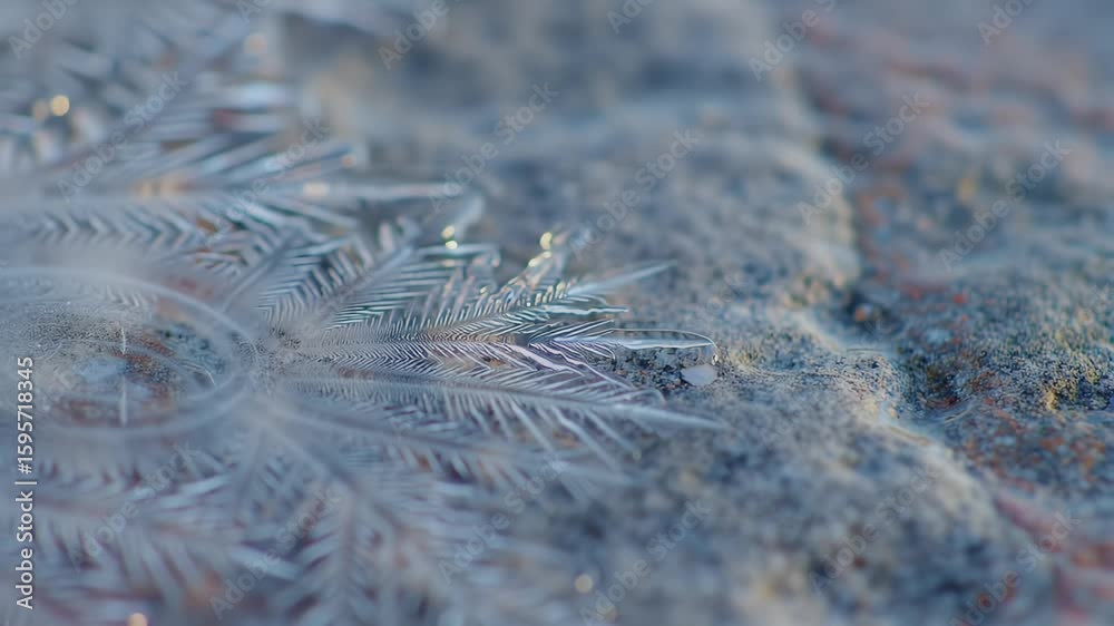 Poster macro shot of frost patterns on a stone surface with bokeh effect emphasizing the delicate ice cryst
