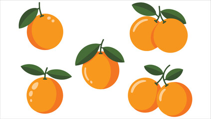 Tangerines on branch citrus vector graphic