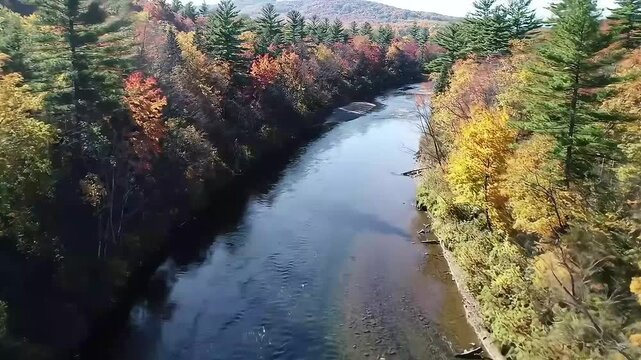 Autumnal River Winding Through Forested Valley