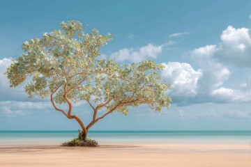 Solitary tree with muted leaves on beach under blue sky with clouds