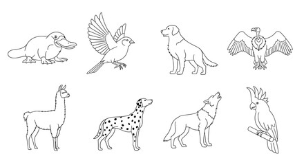 Illustration of the fauna collection: A detailed line drawing, with eight distinct animals, inviting the eye to journey through the animal kingdom