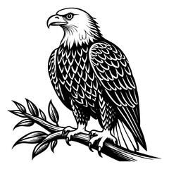 Obraz premium eagle on a white background