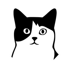 Silhouette portrait of a dazed cat