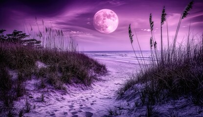 Purple moonlit beach path through dunes