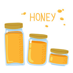 Colorful jars filled with honey arranged in a row on a white background for a creative design
