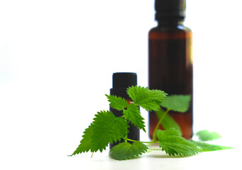 Fresh nettle leaves and essential oil in bottles, medical concept, benefits of medicinal herbs, herbal medicine, natural cosmetics. Alternative medicine. Healing. White background