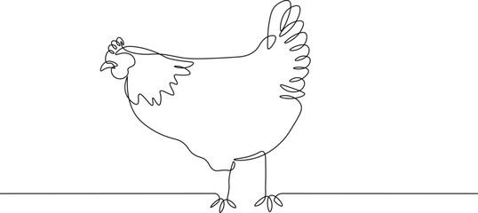 Chicken Animal. Continuous Line Art of Farm Bird and Poultry Illustration