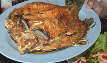 Seafood: shellfish, shrimp and squid salad