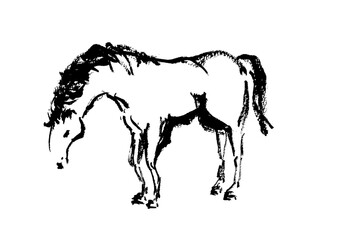 年賀状 デザイン用　馬の手書き和風筆イラスト