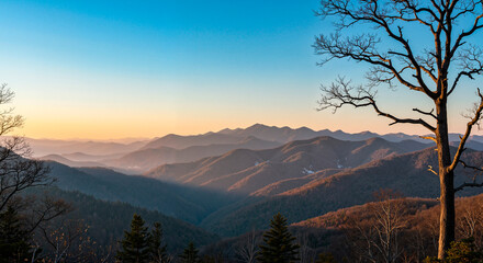 Close-up of a tree against a mountain panoramic landscape. Picturesque colorful illustration during the golden hour before sunset.