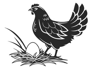Fototapeta premium cock and chicken