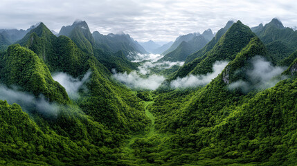 Obraz premium Lush green mountains with mist rising, creating serene landscape