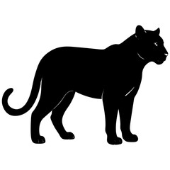 Obraz premium Black panther silhouette standing profile animal wild cat