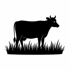 Black cow standing in grass silhouette farm