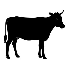 Black silhouette of a cow standing white background