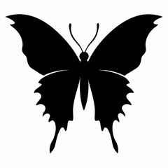 Black swallowtail butterfly silhouette insect white