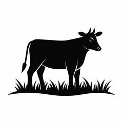 Black cow standing in grass silhouette farm