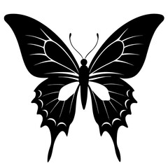 Black swallowtail butterfly silhouette insect white